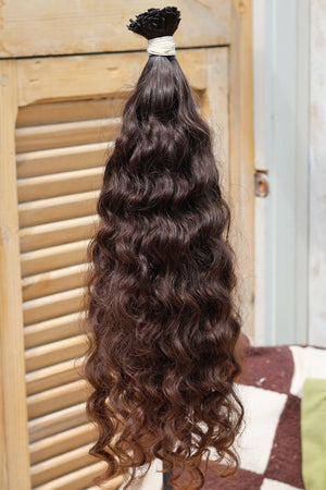 Chocolate Volute