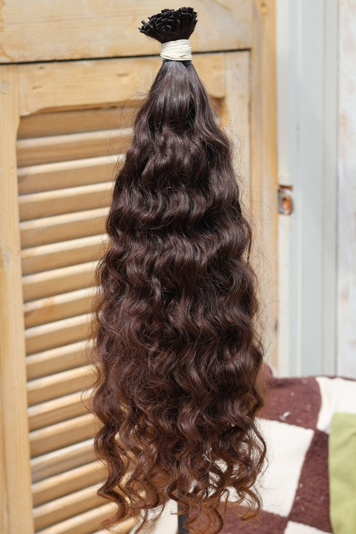 Chocolate Volute