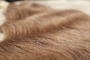 Coloured Single-Donor Slavic Tail