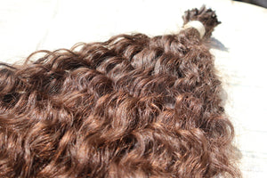 Chocolate Volute
