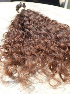 Chocolate Volute
